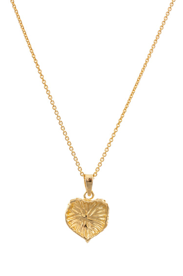 Dije Arrecife Oro